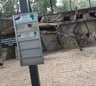 Zoologischer Garten