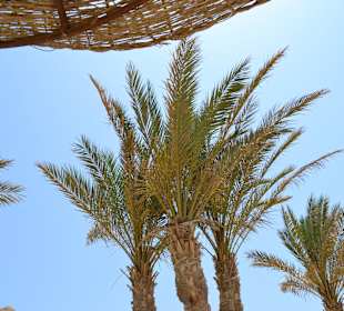 Keine Wolke am Himmer