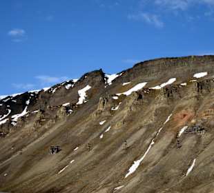 Reste der alten Kohlegruben-Seilbahn