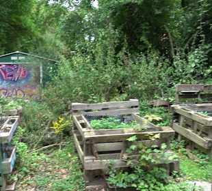 Quartiersgarten im Dichterviertel