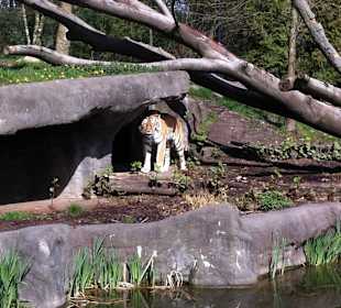Zoo