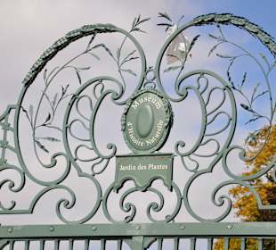 Jardin des Plantes