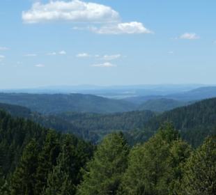 Eindrücke aus dem Rennsteiggarten