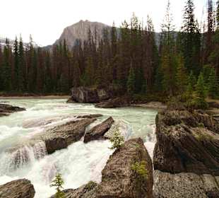 Yoho Nationalpark