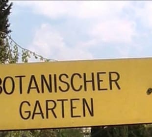 Botanischer Garten