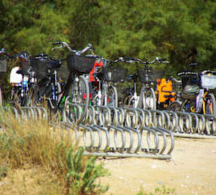 Viele Möglichkeiten wurden geschaffen Radfahrer
