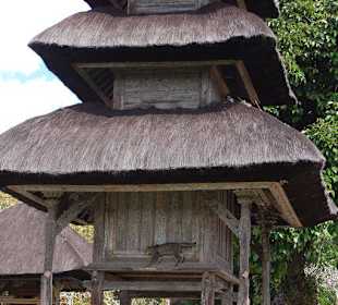 Schöne Tempelanlage in Mengwi