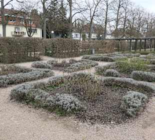 Der Schlosspark hinter dem Residenzschloss