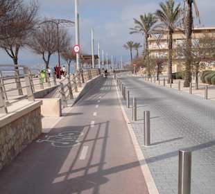 Poller