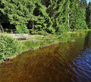Am Ufer des Fichtelsees