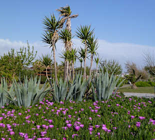 Evrenseki Promenade toll angelegt