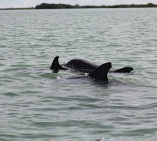 Nationalpark Sian Ka'an
