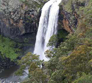 Under Falls im Dorrigo Nt. Park