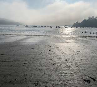 Playa Magdalena