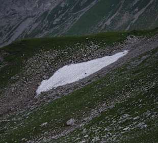 Mindelheimer - Klettersteig