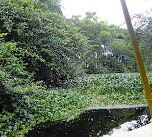 Flussfahrt mit Andreas Extratours - Sosua