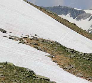 Ochsenalm - Spinnewitrol