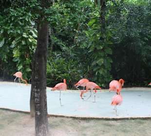 Freizeitpark Xcaret