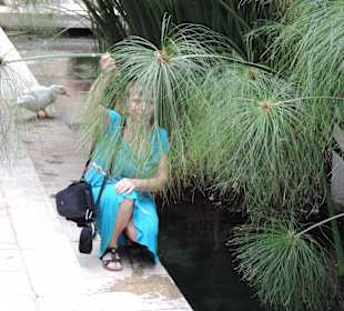 Fonte Arethusa