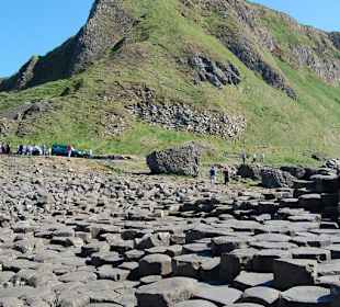 Vista calzada del gigante