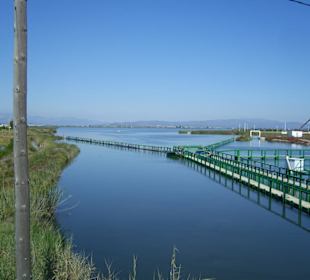 Wasser im Delta