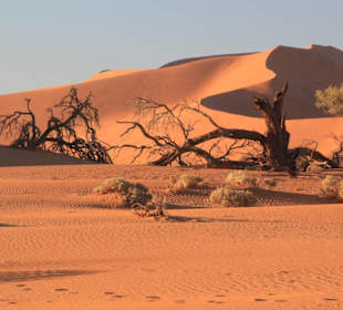 Sossusvlei