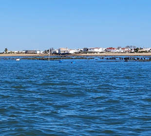 Ilha da Culatra
