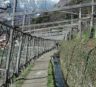 Algunder Waalweg
