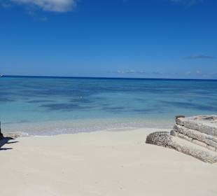 Im Bereich des National Parks