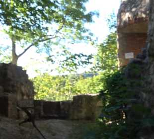 Ruine Hornstein