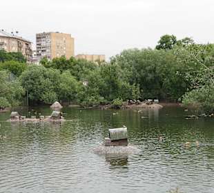 Zoo Moskiewskie