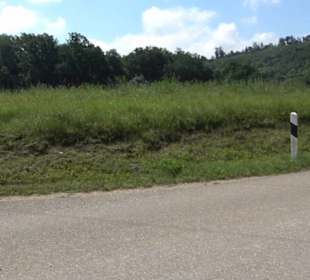 Wacholderheide Hoher Stein