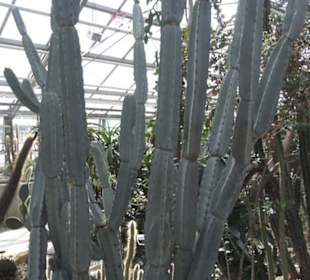 Botanischer Garten