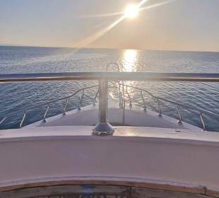 Ausflug zum schnorcheln