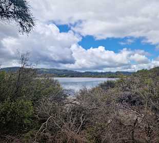 Geothermal Walking Track