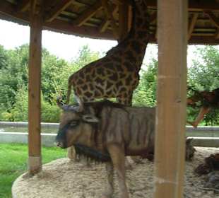 Freizeitpark