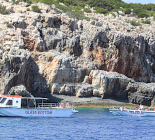 Island Tours