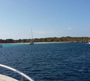 Cala´n Bosch