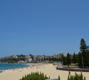 Coogee Beach