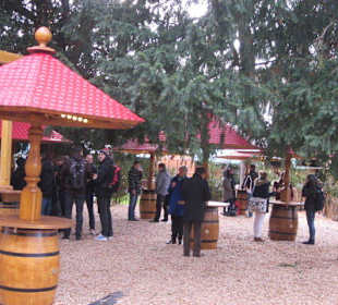 Weihnachtsmarkt Karlsruhe