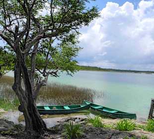 Naturpark  Punta Laguna