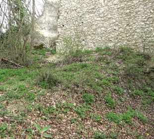 Wanderung rund um das Rusenschloss Gerhausen