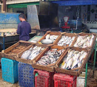 Hurghada Fischmarkt