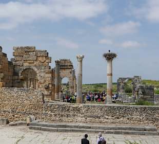 Ausgrabungen in Voloubilis