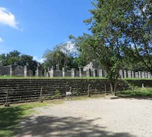 Spaziergang auf dem Ruinengelände