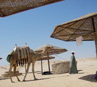 Sharm el Naga