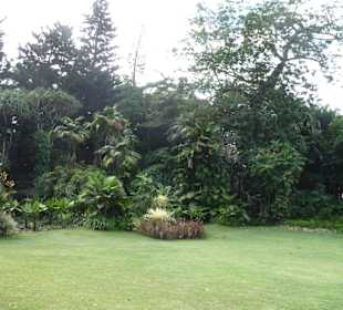 Victoria - Botanischer Garten