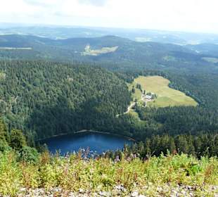Feldsee