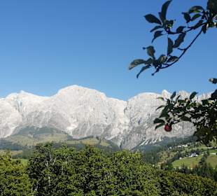 Wandern Mühlbach