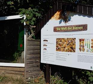 Wildpark Osterzgebirge